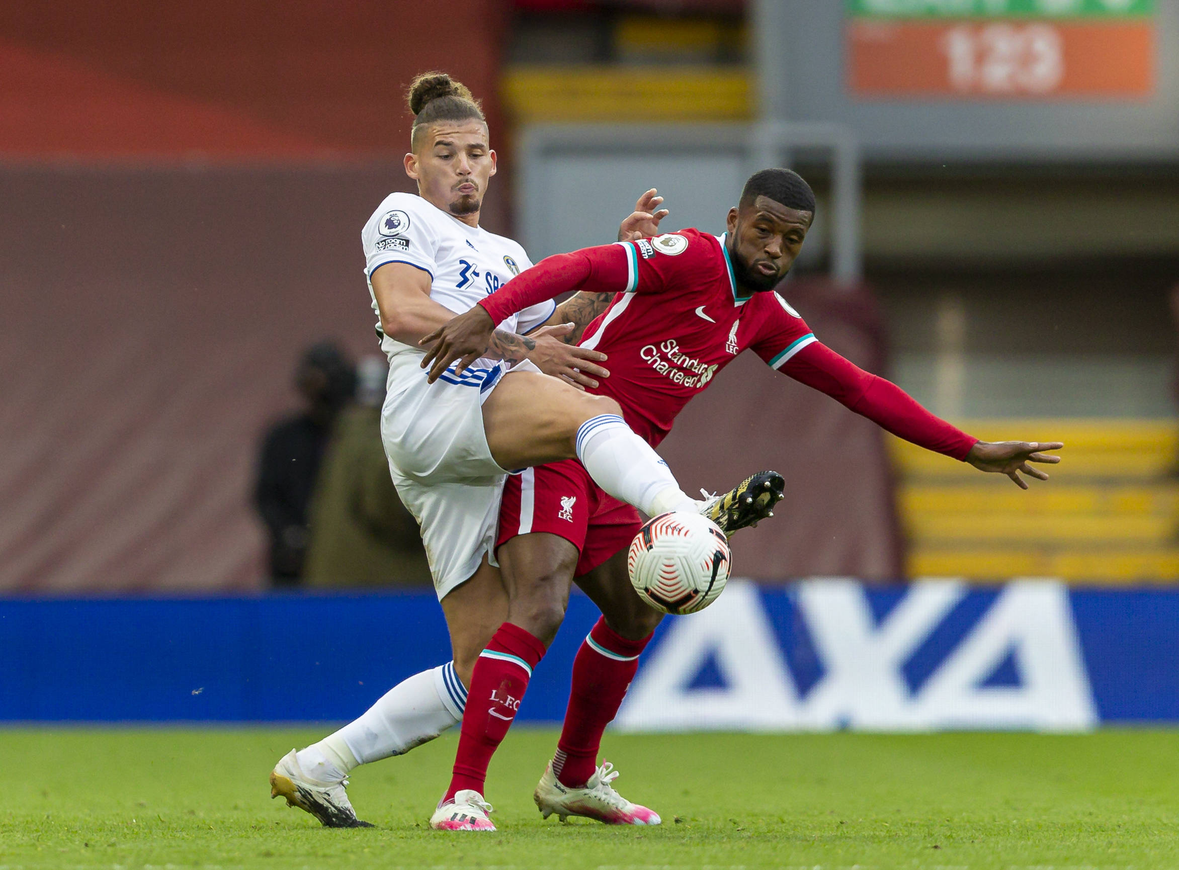 中贡献了不 中贡献了不